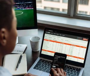 bettor comparing odds across sites